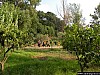Foto 028